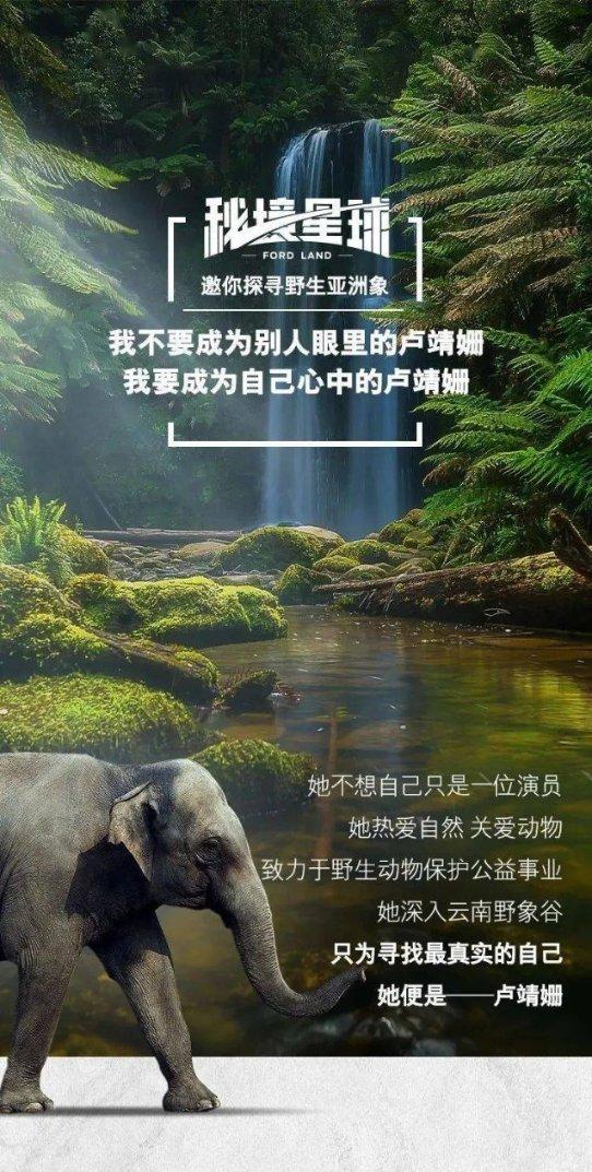 小猫钓鱼游戏龙王版有船