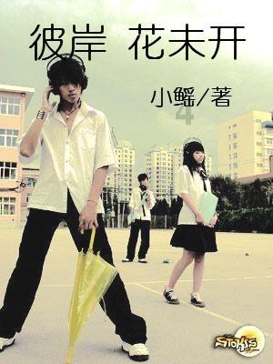 敏捷小球